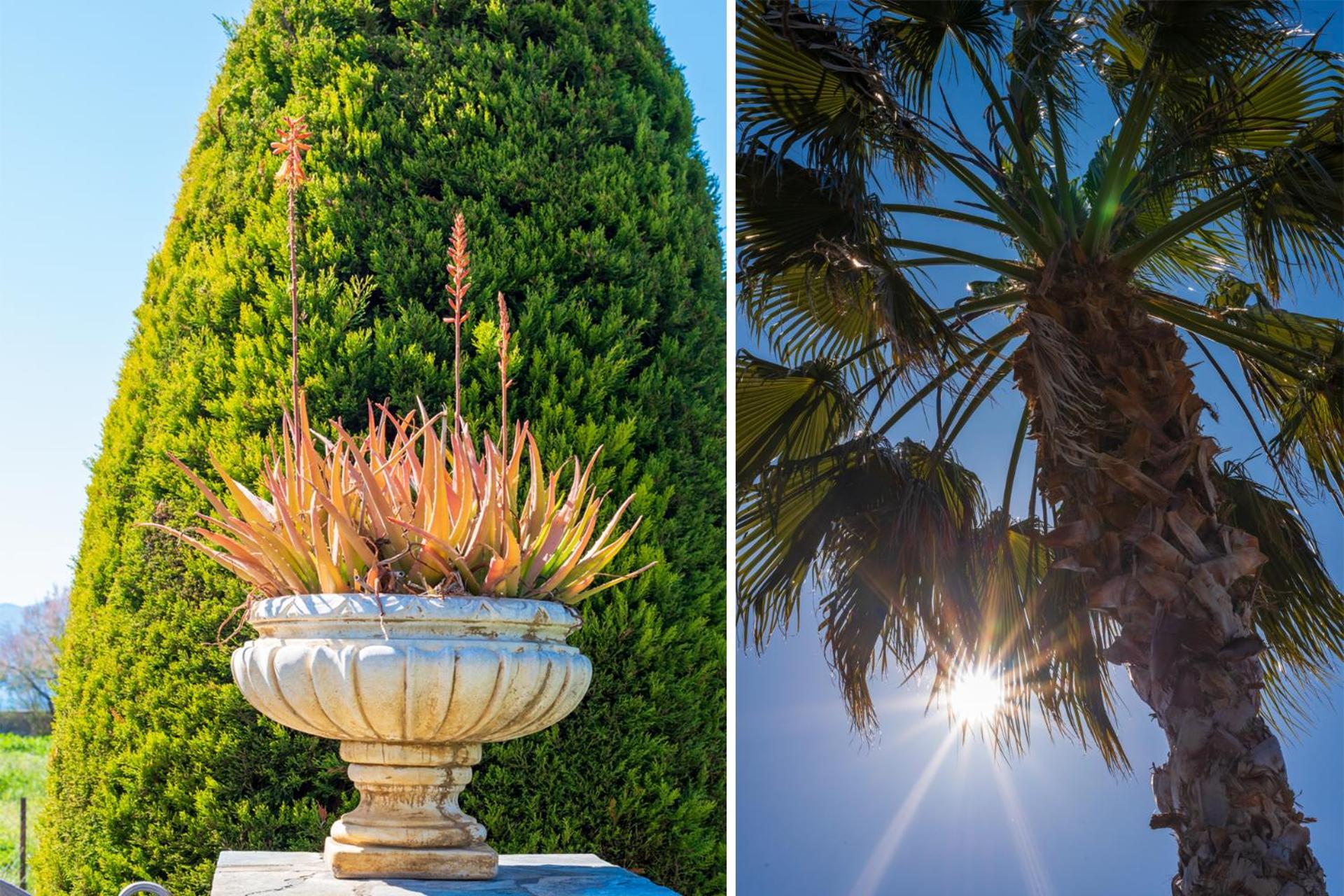 Christina'S Twin Palm Trees House Apartman Agriá Kültér fotó